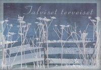 Talviset terveiset