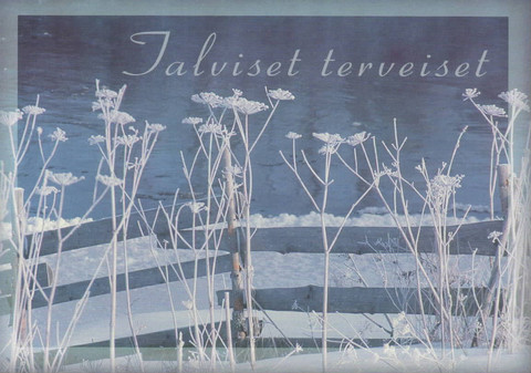 Talviset terveiset