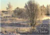 Talvi Winter