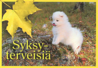 Syksyterveiset