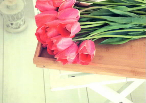 Tulips on a tray