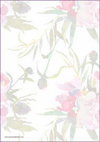 Peonies - writing papers (A5, 10s)