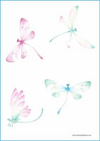 Dragonflies - writing papers (A5, 10s)