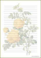 Vintage flower - writing papers (A5, 10s) #2