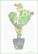 Kaktus - kirjepaperit (A4, 10s) #1