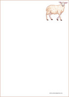 Lamb - writing papers (A4, 10s) #2