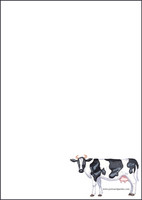 Cow - writing papers (A5, 10s) #1
