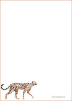 Cheetah - writing papers (A5, 10s) #1