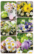 Easter stickers - spring flowers (3 sheets) #2