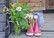 Flower vase and boots