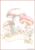 Mushrooms - writing papers (A4, 10s) #1