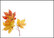 Autumn leaves - envelope (C6) #4