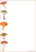 Mushrooms - writing papers (A4, 10s) #3