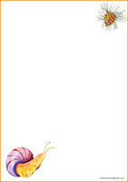 Snail and cone - writing papers (A4, 10s) #1