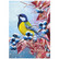 Christmas postcard - Birds #4
