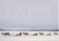 On reindeer ride
