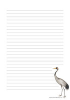 Kurki - kirjepaperit (A4, 10s) #1