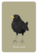 Bedaprint - Common blackbird