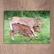 Limousin-lehmät
