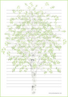 Koivu - kirjepaperit (A4, 10s) #1