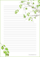 Koivu - kirjepaperit (A5, 10s) #2