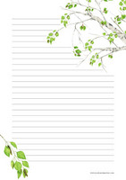 Birch - writing papers (A4, 10s) #2