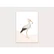 Appeloogje - Stork
