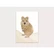 Appeloogje - Quokka