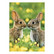Little hares noses facing each other