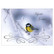 Christmas postcard - Jukka Risikko's photo view #6