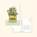Muchable - Christmas plant in a metal jar