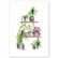 Little Lefty Lou - Plants shelf