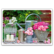 Summer arrangement