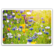 Summer meadow