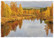 Autumn landscape