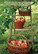 A fruitful autumn