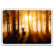 Deer in the forest