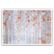 Birch forest