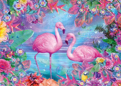 Flamingos, 500 palaa