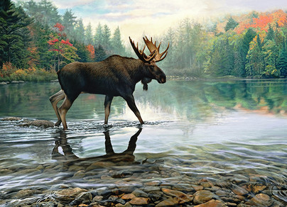 Moose Crossing, 1000 palaa