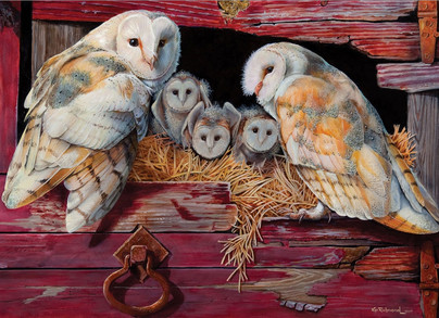 Barn Owls, 1000 palaa