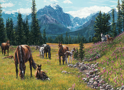 Horse Meadow, 1000 palaa