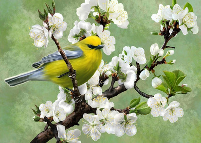 Herald of Spring, 1000 palaa