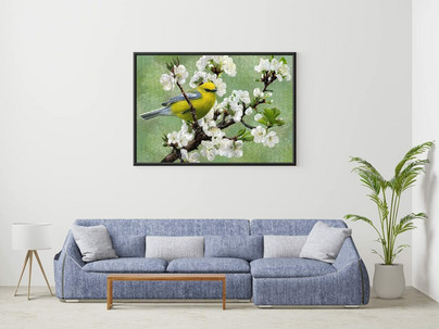 Herald of Spring, 1000 palaa