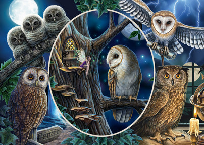 Lisa Parker: Mysterious owls, 1000 palaa
