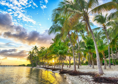 Guadeloupe - Anse Champagne, 500 palaa
