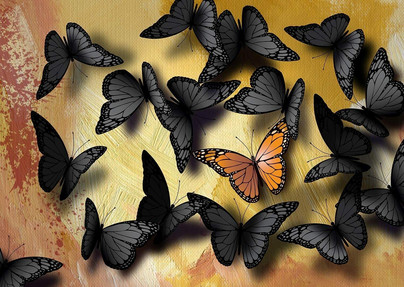 Butterflies, 1000 palaa
