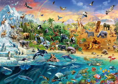 The World of Animals, 1000 palaa