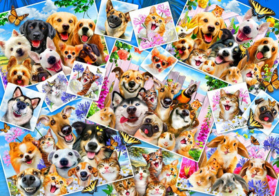 Selfie Pet Collage, 1000 palaa