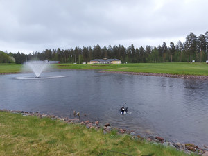 Löytöpallot nousevat vesiesteestä